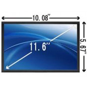 11 inch (2)